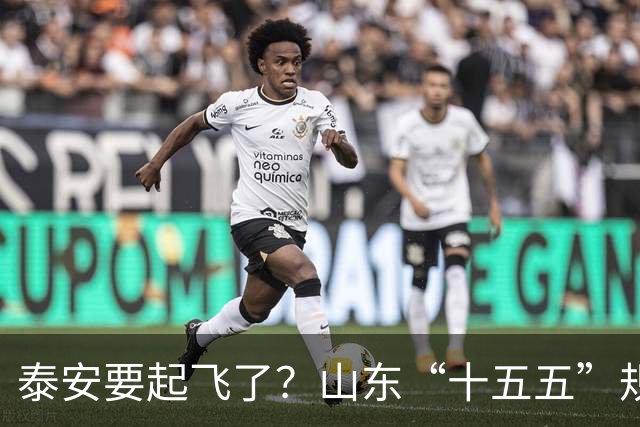 泰安要起飞了？山东“十五五”规划直接点名泰山！