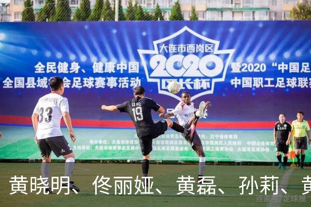 黄晓明、佟丽娅、黄磊、孙莉、黄渤、肖战、朱一龙、赵丽颖、白鹿、刘昊然、杨紫、万茜、迪丽热巴、王鹤棣等19位艺人向西藏地震灾区捐款